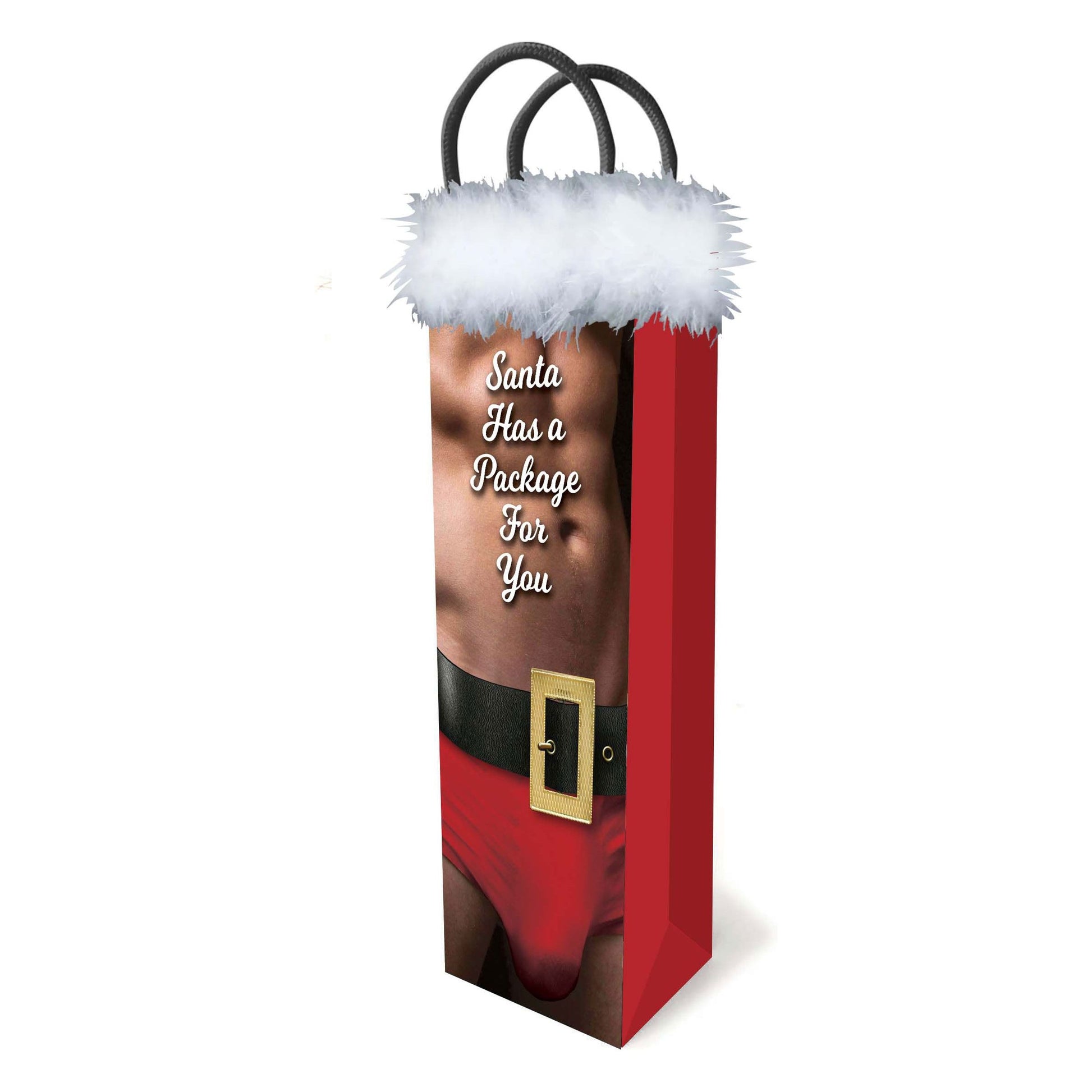 Santa Has a Big Package for You LG-LGP025